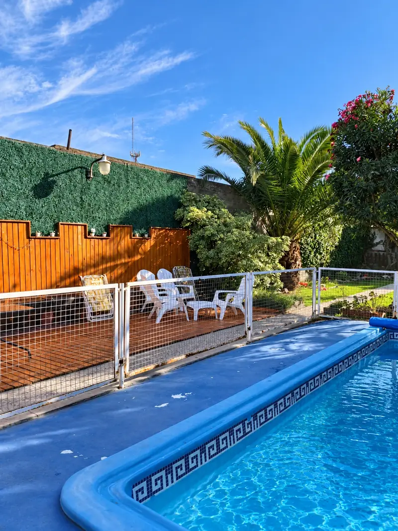 Deck junto a la pileta con reposeras blancas y palmera de fondo